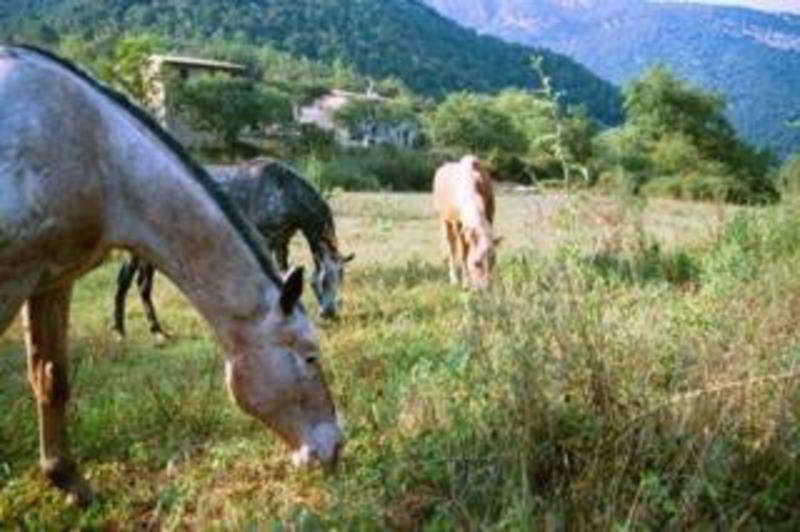 Can Pei Oix Εξωτερικό φωτογραφία